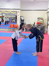 Image result for Phil Little Choi Kwang Do Academy