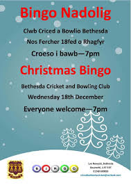 Image result for Clwb Criced A Bowlio Bethesda