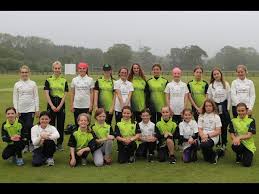 Image result for Ivybridge Cricket Club