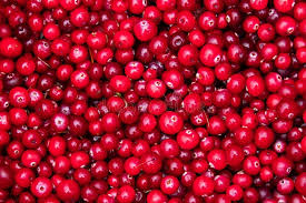 Attēlu rezultāti vaicājumam “Oxycoccus palustris fruit”