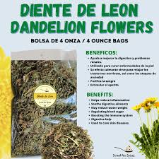 Image result for diente de leon