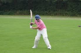 Image result for Redlynch and Hale Cricket Club