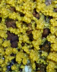 Attēlu rezultāti vaicājumam “Badhamia utricularis spores”