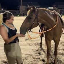 Image result for Carman Stables