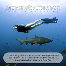Image result for Maverick Divers