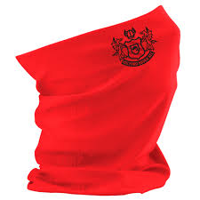 Image result for Milford Haven R F C