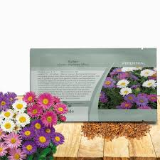 Image result for Aster alpinus