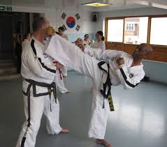 Image result for English International Allstyles Taekwon-Do