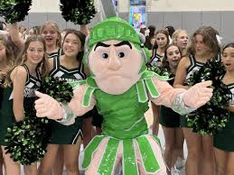 Image result for St Rita`s Camogie Club