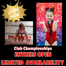 Image result for Waveney Gymnastics Club