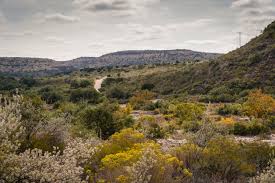 Image result for Dearne Valley Devils