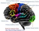 AT RISK OF HUNTINGTON'S DISEASE!