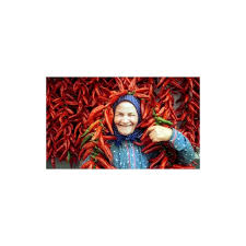 Afbeeldingsresultaat voor Szegedi 80 hot pepper