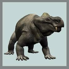 Attēlu rezultāti vaicājumam “Diderma cinereum”