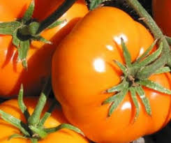 Afbeeldingsresultaat voor earl faux tomato