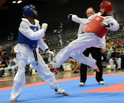 Image result for Stoke UTA Olympic Taekwondo