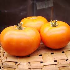 Afbeeldingsresultaat voor caro rich tomato