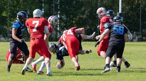 Image result for Edinburgh Wolves