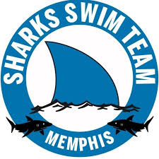 Image result for Sharks Swimming Club Of Mottingham