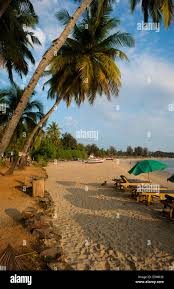 Image result for patnem beach