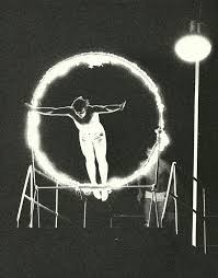 Image result for Jesters Diving Club