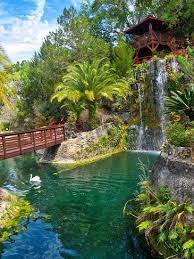 Image result for Dearne Valley Devils