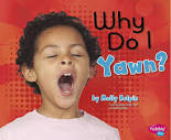 Why Do I Yawn? (My Silly Body): Kolpin, Molly: 9781491421079 ...