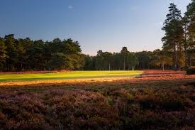 Image result for Hankley Common Golf Club