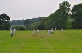 Image result for Burwarton Cricket Club