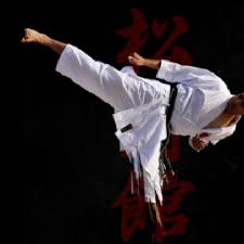 Image result for Epsom and Leatherhead Martial Arts