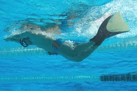 Image result for Swansea Finswimming Club