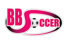 Image result for Whyteleafe Netball Club