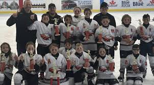 Image result for New Milton Hockey Club