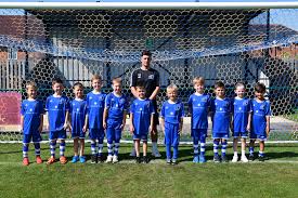 Image result for Hassocks Ladies FC