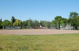 Image result for Eisenhut