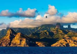 Attēlu rezultāti vaicājumam “Aranei exuvia”