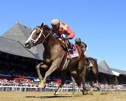 Image result for The Horse Racing Club