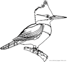 Bird coloring page