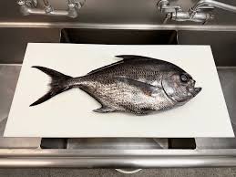 Image result for Eumegistus illustris