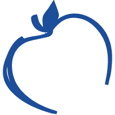 Image result for Southwell Cricket Club