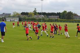 Image result for Halstead Colts Cricket Club