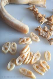 Image result for geoduck