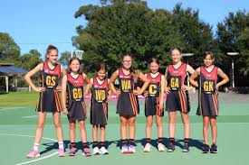 Image result for Dominos Netball Club