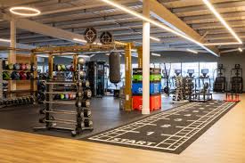 Image result for David Lloyd Senior Badminton Club