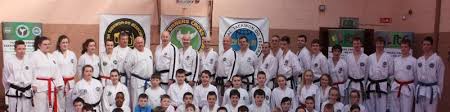 Image result for Turners Tae Kwon Do