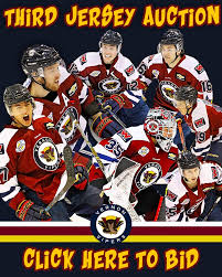 Image result for Vipers Roller Hockey Team