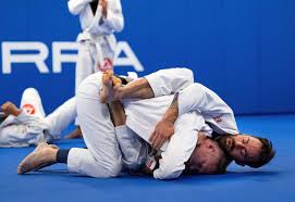Image result for Brazilian-martial arts