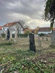 Image result for sényő