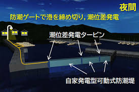 Image result for 高潮 津波 別物