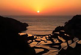 Image result for tanada